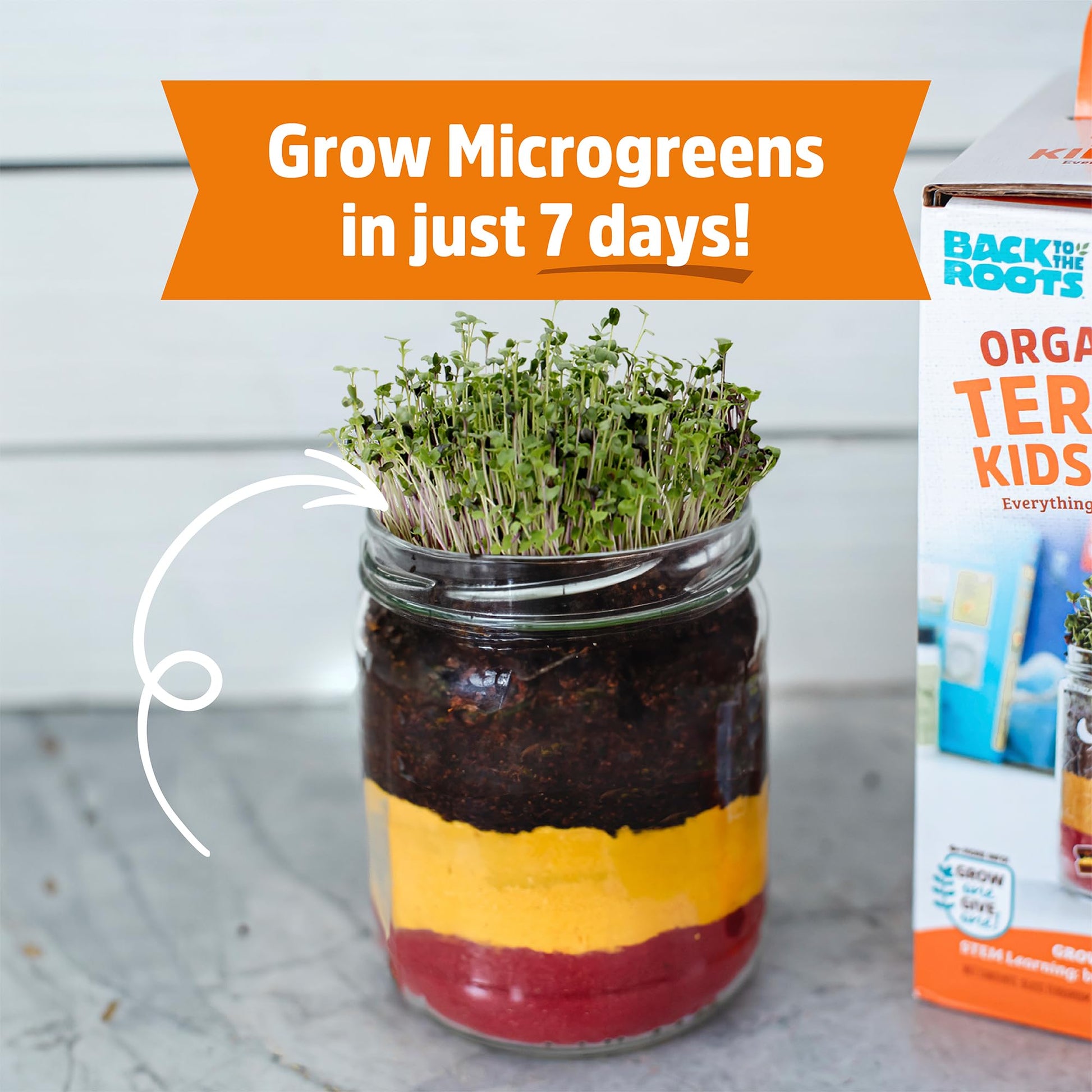 Back to the Roots Terrarium Grow Kit - Easy-to-Use DIY Set for All Ages Small