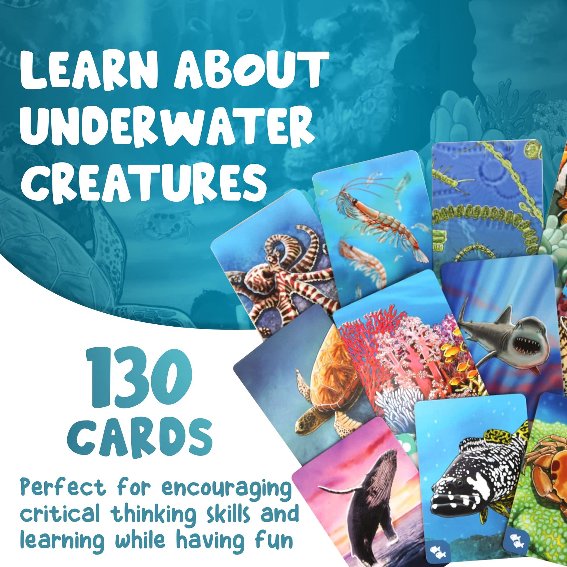 Genius Games Ecosystem: Coral Reef - A Mensa Recommended Family Card Game About Aquatic Animals, Their Habitats & Food Chain | A Light Educational