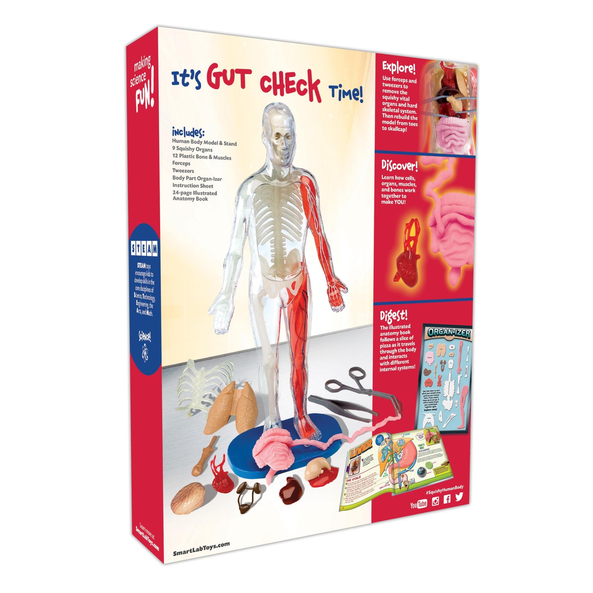 SmartLab QPG Lab for Kids, Squishy Human Body, Grade 3-8