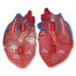 Learning Resources Cross-Section Human Heart Model - Practice Anatomy, Cardiology Artery and Veins Study Tools, Classroom Must Haves, STEM Student