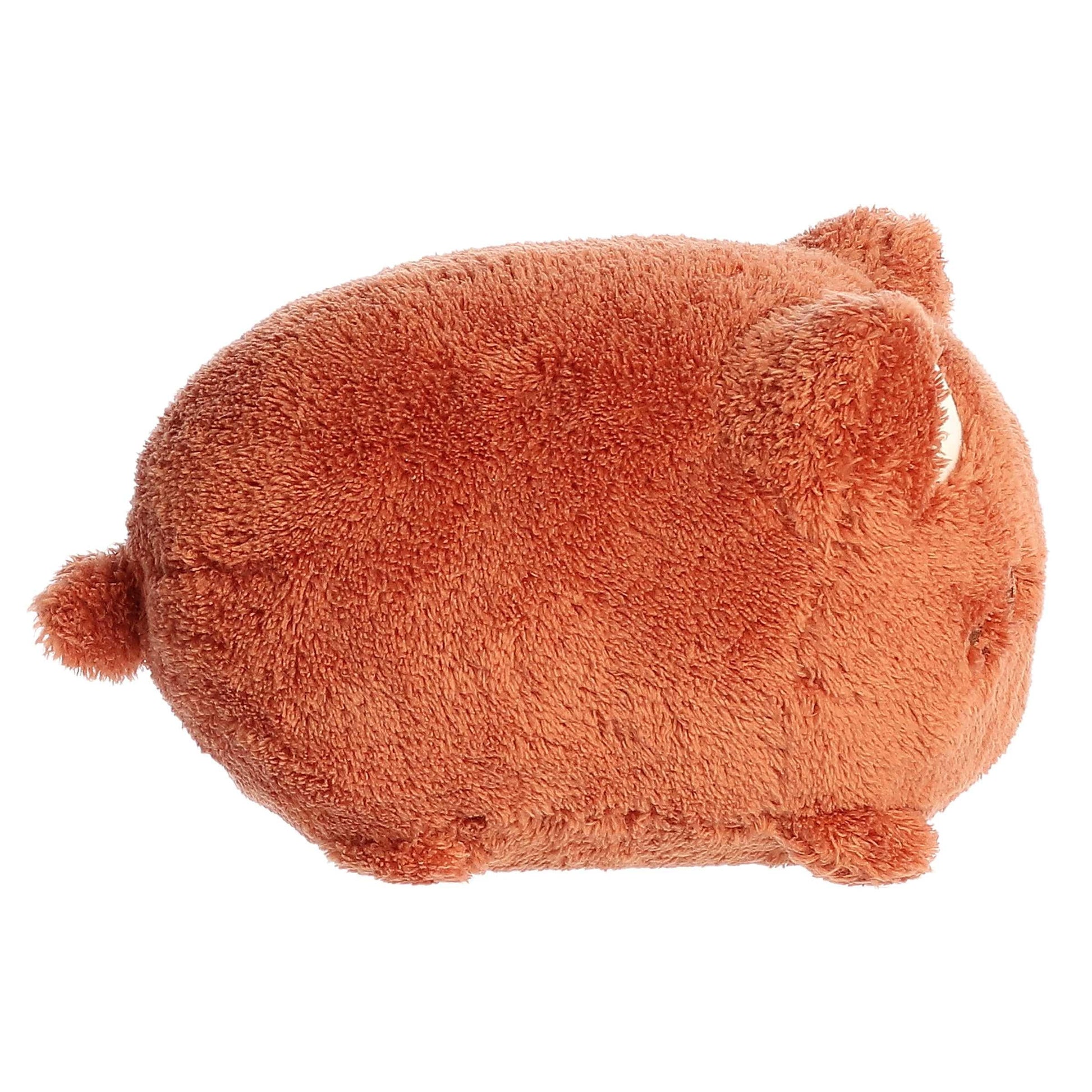Aurora® Enchanting Tasty Peach® Coconut Meowchi Stuffed Animal - Bright & Colorful Design - Showpiece Plush - Brown 7 Inches