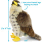 TigerHart Percival the Peregrine Falcon | 10 Inch Hawk Stuffed Animal Plush Bird Toys
