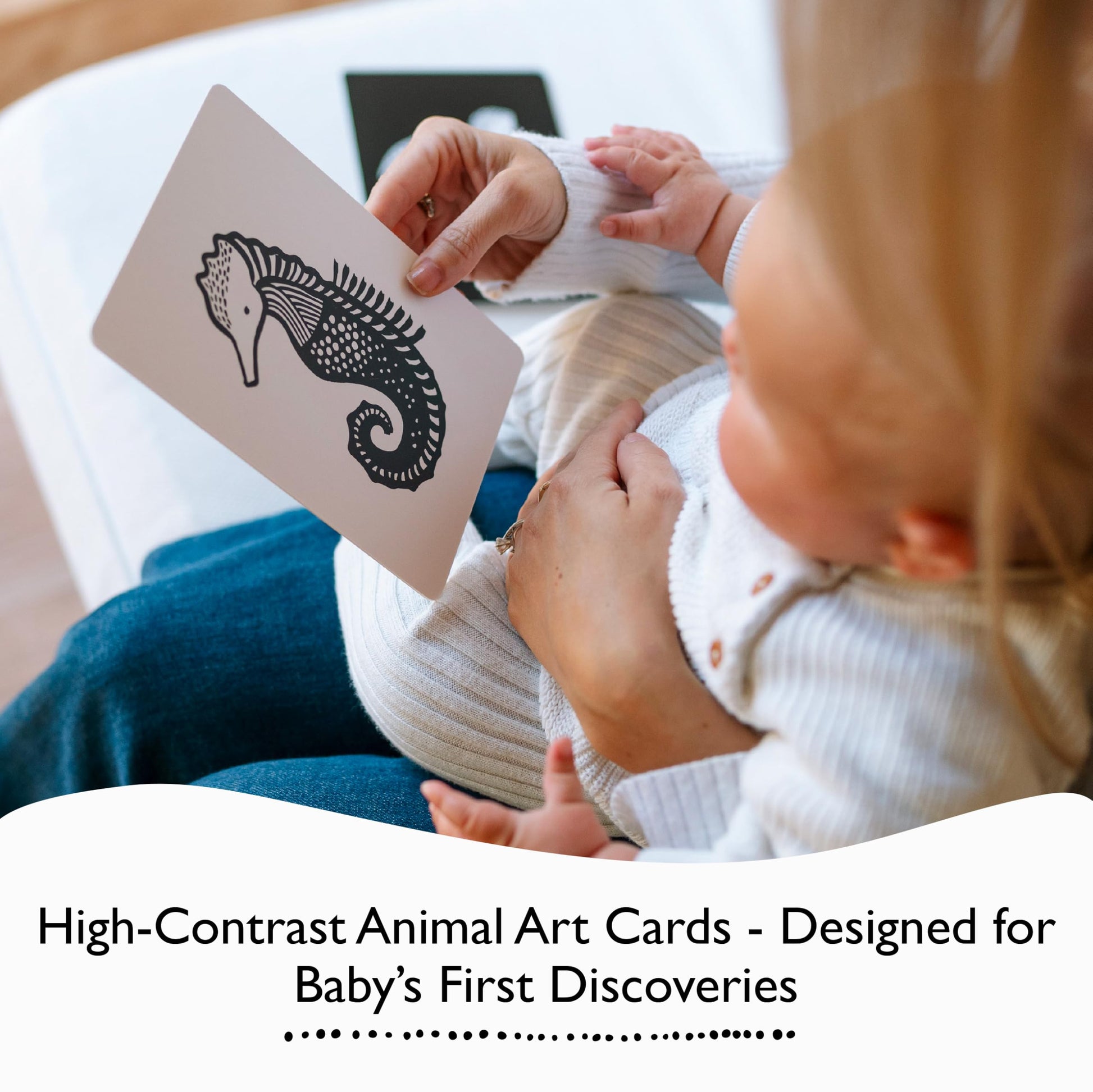 Wee Gallery High Contrast Cards for Baby - Black and White Jungle Animals