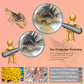 BRETOYIN 11PCS Mini Desert Animals Figurines Set Desert Realistic Desert Animals Figurines Toys Party Decorations Tabletop Decorations for Kids