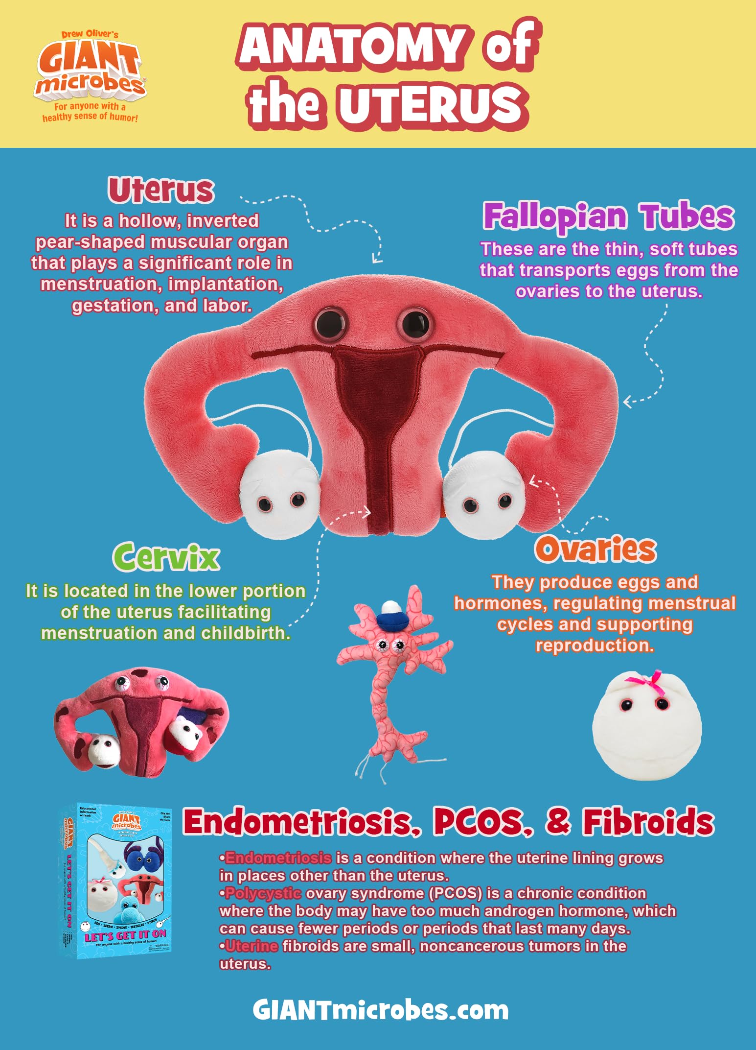 GIANTmicrobes Egg Cell Plush -Learn about the Reproductive System with this Educational Plush, Memorable Gift for Doctors, Students, Scientists