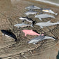 Safari Ltd. Dolphin TOOB - 10 Miniature Dolphin Figurines - Educational Toy Set for Boys, Girls and Kids Ages 3+