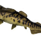 Safari Ltd. Dunkleosteus Figurine - Detailed 7.25" Plastic Model Figure - Fun Educational Play Toy for Boys, Girls & Kids Ages 3+