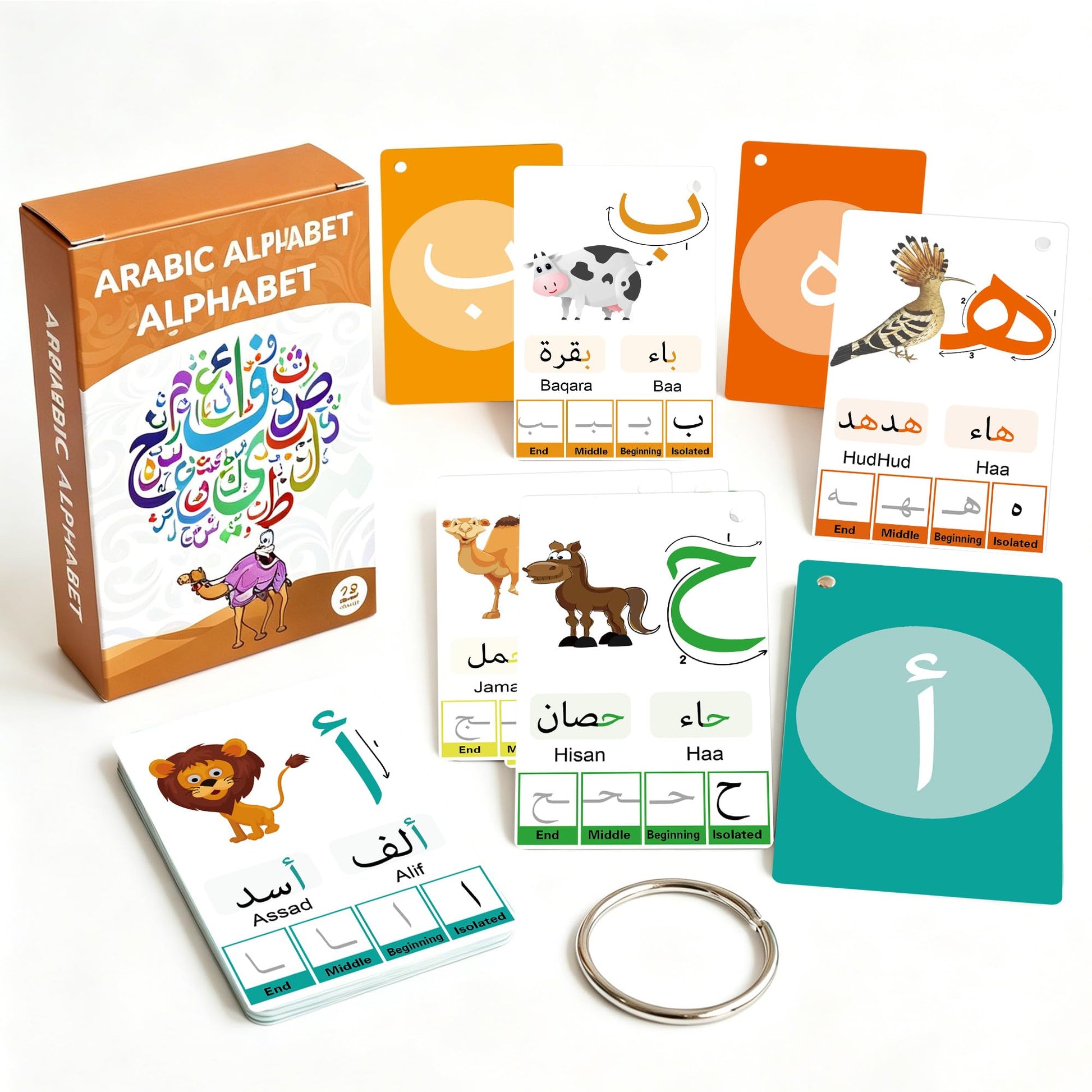 YIYDONG Arabic Flash Cards for Beginners, Learn Arabic Alphabet for Kids, Teens and Adults, Educational Language Learning Resource for Grade School