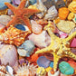 White Mountain 500 Piece Jigsaw Puzzle Summer Ocean Collage Puzzles With Large Pieces Gift for Adults and Family 18"x24" - Beach Shells