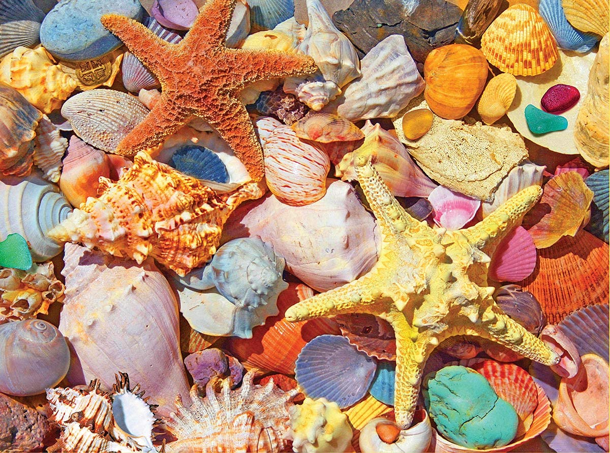White Mountain 500 Piece Jigsaw Puzzle Summer Ocean Collage Puzzles With Large Pieces Gift for Adults and Family 18"x24" - Beach Shells
