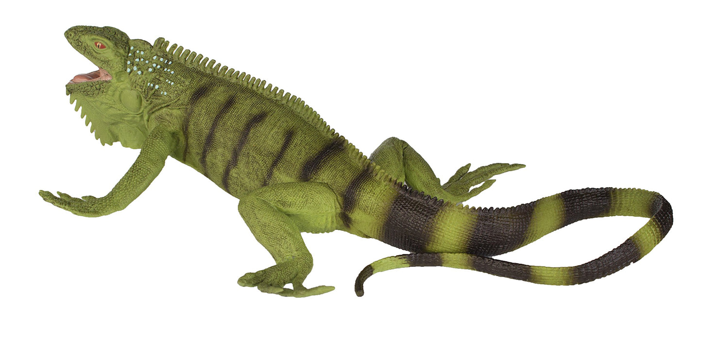 Safari Ltd. Iguana Figurine - Lifelike 11" Model Figure - Educational Toy for Boys, Girls, and Kids Ages 3+