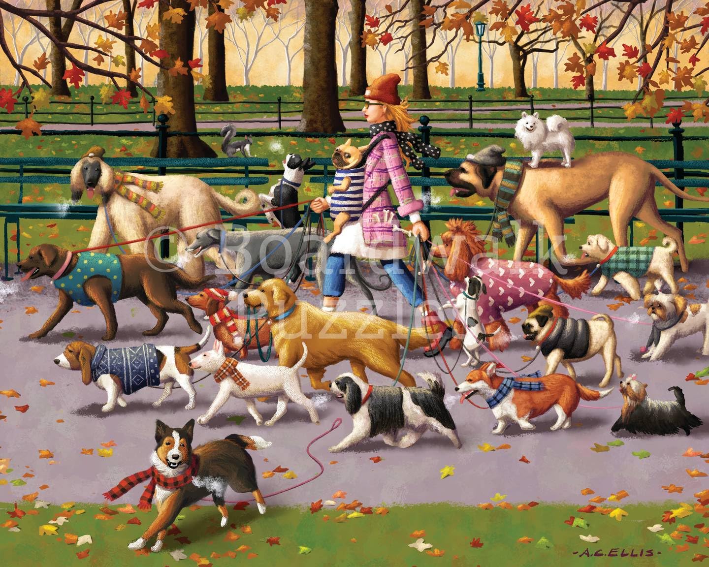 Boardwalk Dog Walker 1000 Piece Jigsaw Puzzle Funny Autumn Animal Puzzles with Premium Box, Gift for Adults and Family 19"x26"