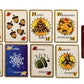 S'Quarrels Card Game - Quick Game for 2-6 Players of All Ages