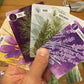 Pencil First Games Herbaceous Card Game - A Flavorful Set Collection Game of Garden Herbs and Containers by Pencil First Games for 1-4 Players