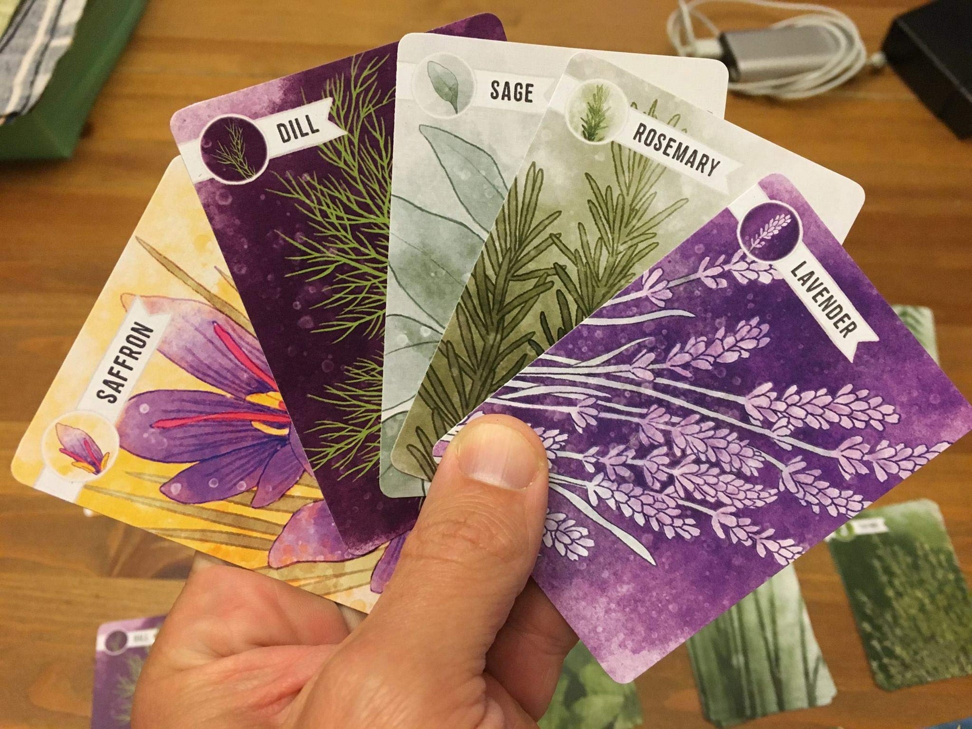 Pencil First Games Herbaceous Card Game - A Flavorful Set Collection Game of Garden Herbs and Containers by Pencil First Games for 1-4 Players