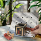 Sharp Brain Zone Wooden Puzzle Box - 3D Wooden Brain Teaser Puzzle with Secret Compartments | Handcrafted Natural Wood, STEM Educational Logic Game