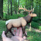 Safari Ltd. Elk Figurine - Realistic 8" Model Figure - Educational Toy for Boys, Girls & Kids Ages 3+