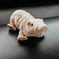 The Petting Zoo Naked Mole Rat Stuffed Animal Plushie, Gifts for Kids, Wild Onez Wildlife Animals, Mole Rat Plush Toy, 9 inches