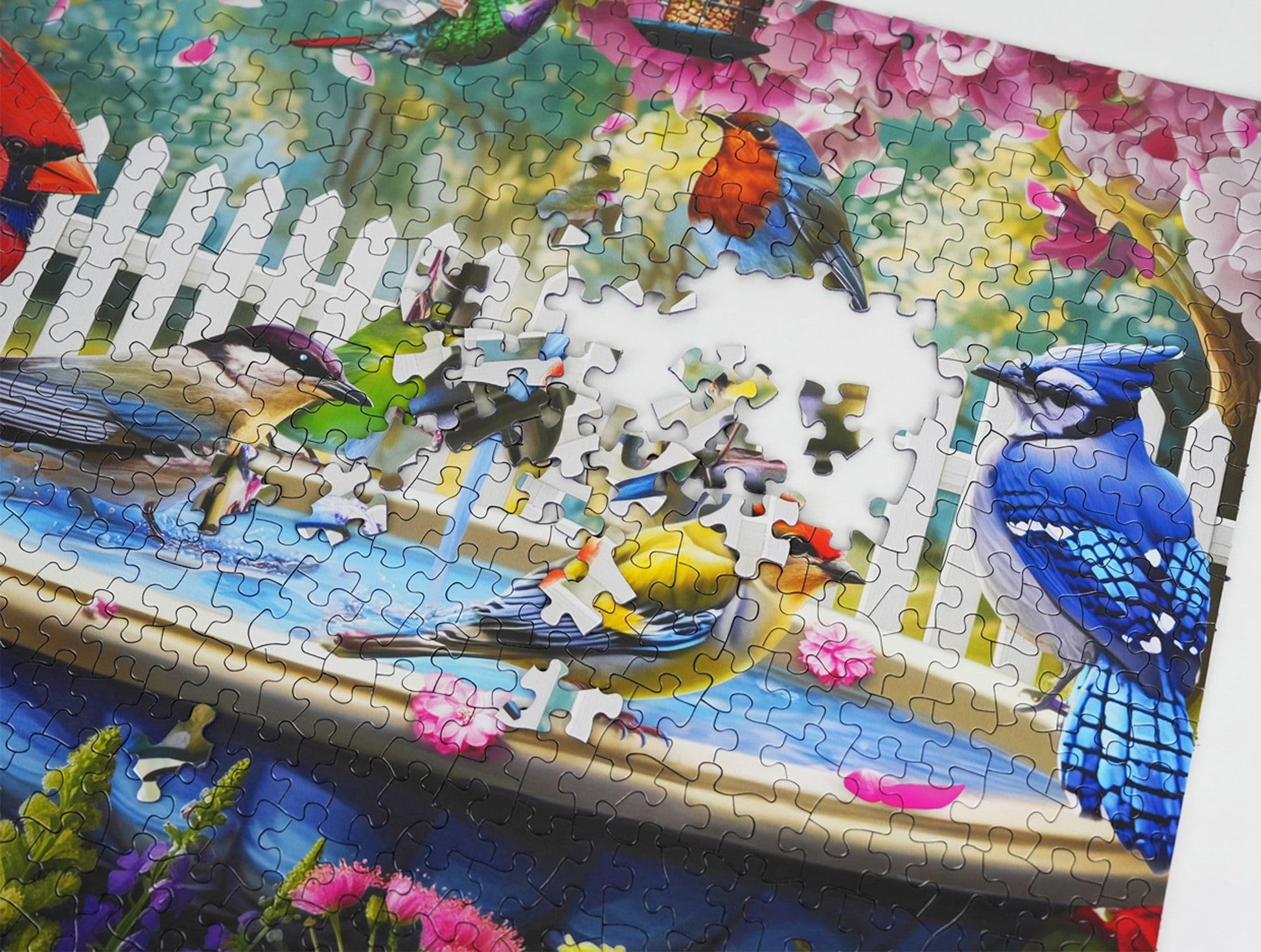 Springbok Birds of Spring 500 Piece Jigsaw Puzzle for Adults