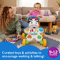 Fisher-Price Baby & Toddler Play Kit Let’s Walk & Talk Gift Set, Developmental Toys & Activity Guide for Infants Ages 9+ Months