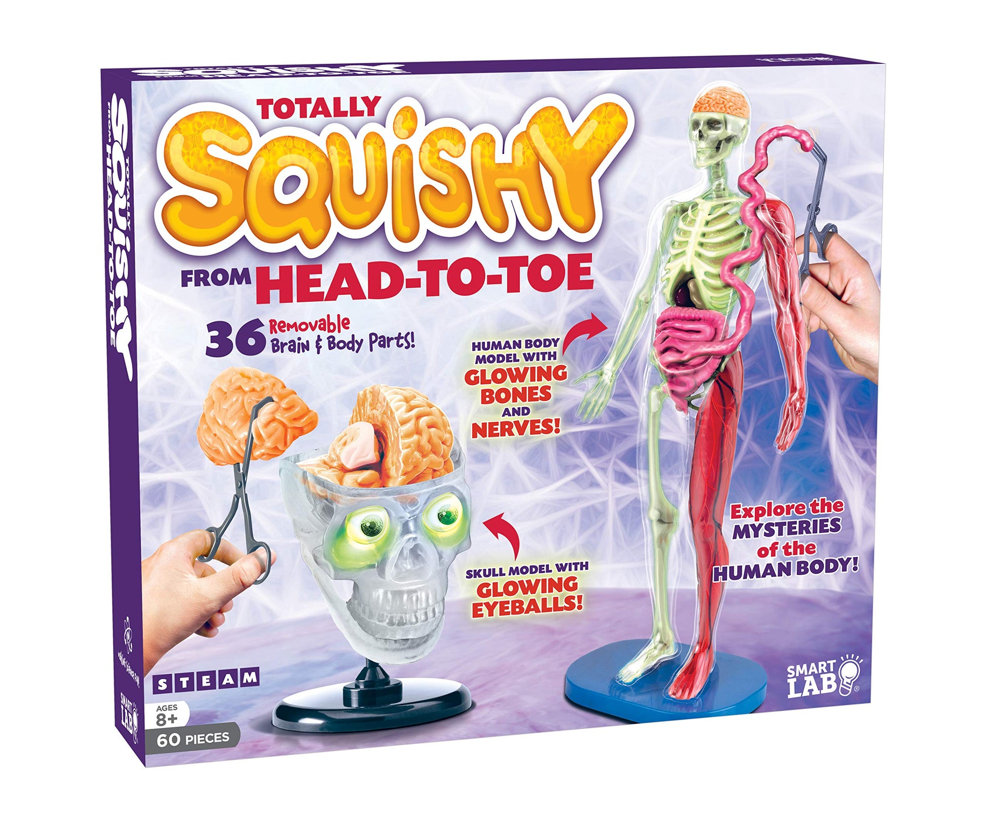 SMARTLAB Toys Totally Squishy from Head-to-Toe - 60 Pieces - 36 Removable Parts - 12" Human Body Model & Stand - 24-Page Illustrated Book - Includes