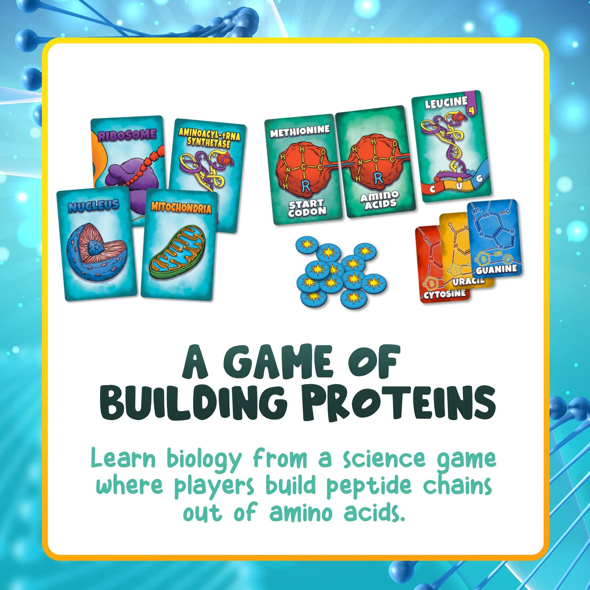 Genius Games Peptide: A Protein Building Game | A Strategy Card Game with Accurate Science for Gamers and Teachers | Teaches Amino Acids, mRNA