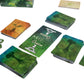 Weird City Games: Canopy, Card Game, Fast and Fun Gameplay, Features 25 Unique Species of Rainforest Animals and Plants, Solo or Multiplayer Option