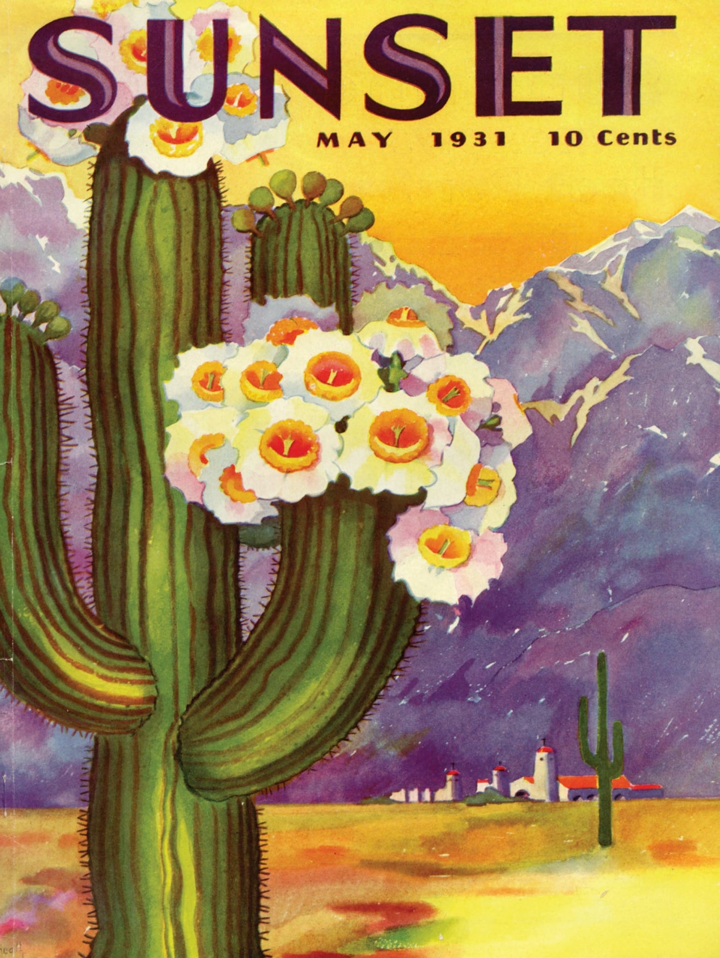 New York Puzzle Company - Sunset Magazine Cactus Blooms - 500 Piece Jigsaw Puzzle for Adults