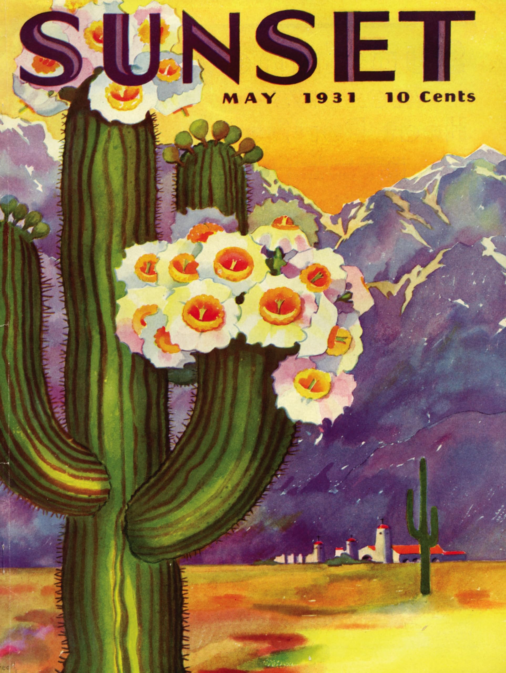New York Puzzle Company - Sunset Magazine Cactus Blooms - 500 Piece Jigsaw Puzzle for Adults