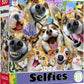 Ceaco - Companion Selfies - 500 Piece Jigsaw Puzzle for Adults