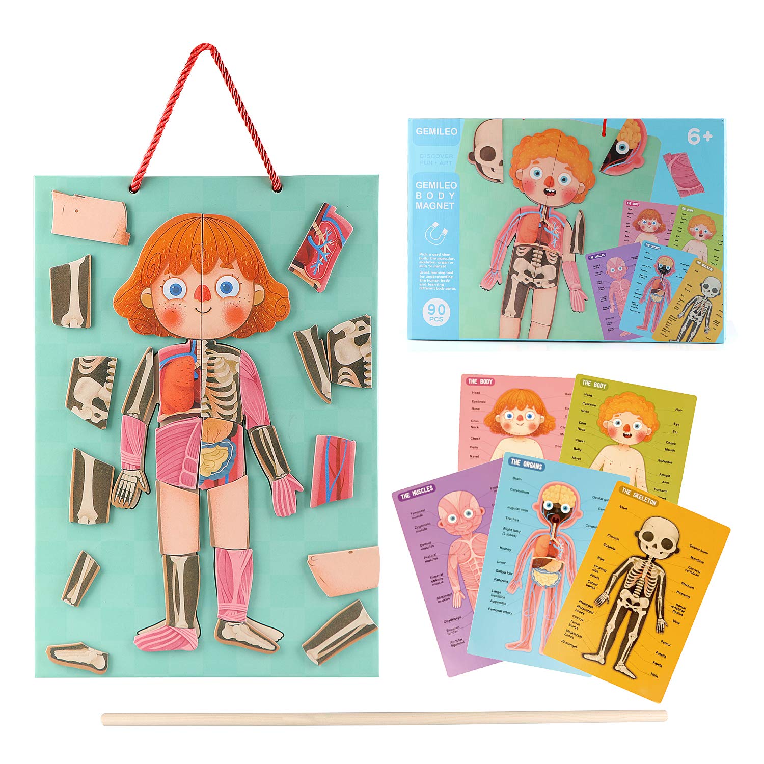 Human Body Puzzle for Kids Toddlers 90PCS Magnetic Boy Girl Anatomy Play Set Body Parts Organs Muscles Skeleton and Bones Wooden Puzzle Toys Aged 3+