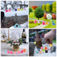 HUADELAIMA 200 Mini Duck Set 20 Colors 10 Each 0.7 x 0.6 x 0.4 Inches Ideal for Dollhouse Mini Fairy Gardens Aquarium Potted Plants Hide and Seek