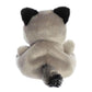Aurora® Adorable Palm Pals™ Rascal Raccoon™ Stuffed Animal - Fun Collectible Plush for Kids and Adult Collectors - Perfect for Decorating Rooms
