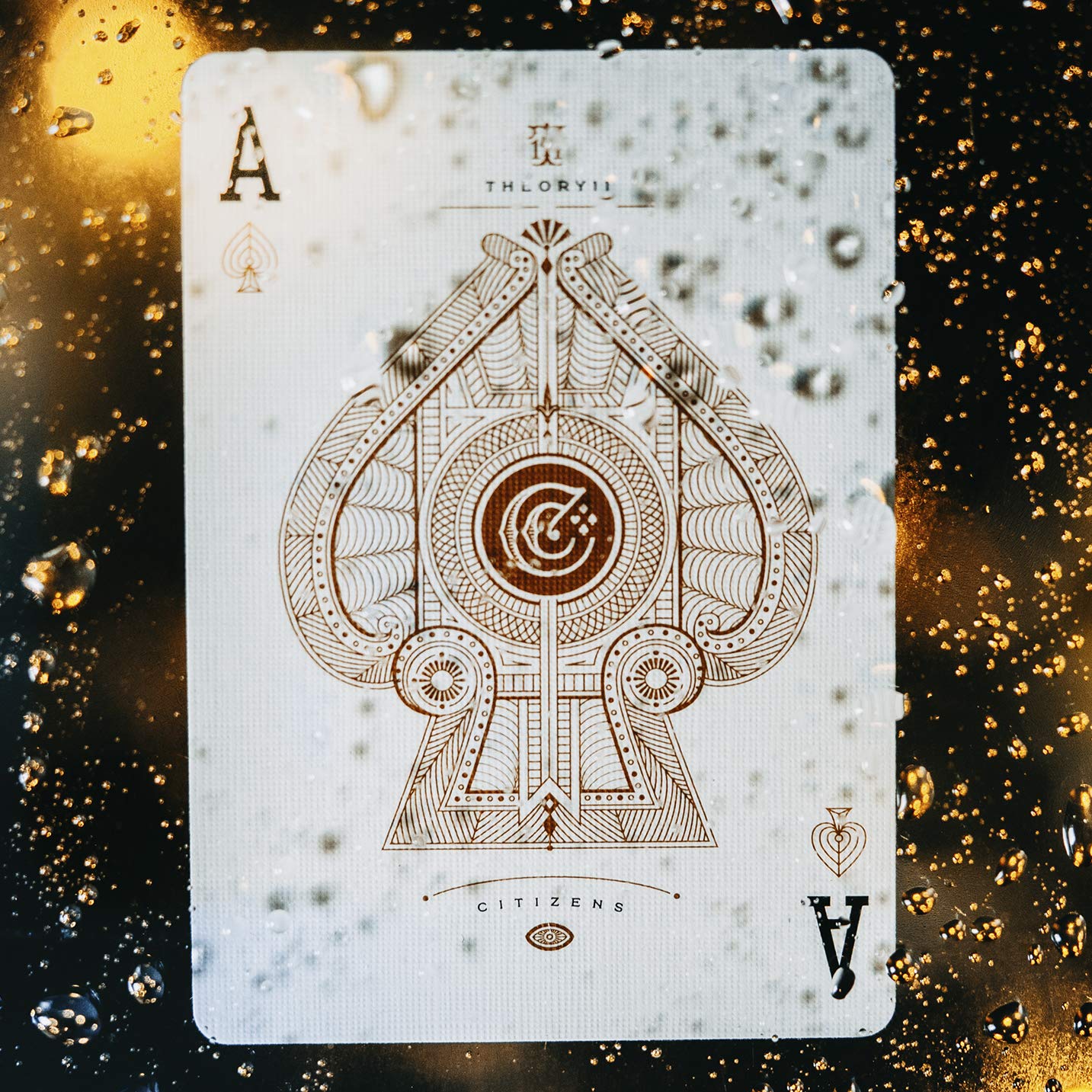 theory11 Citizen Playing Cards,Brown