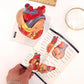 Axis Scientific Life-Size Human Heart Model