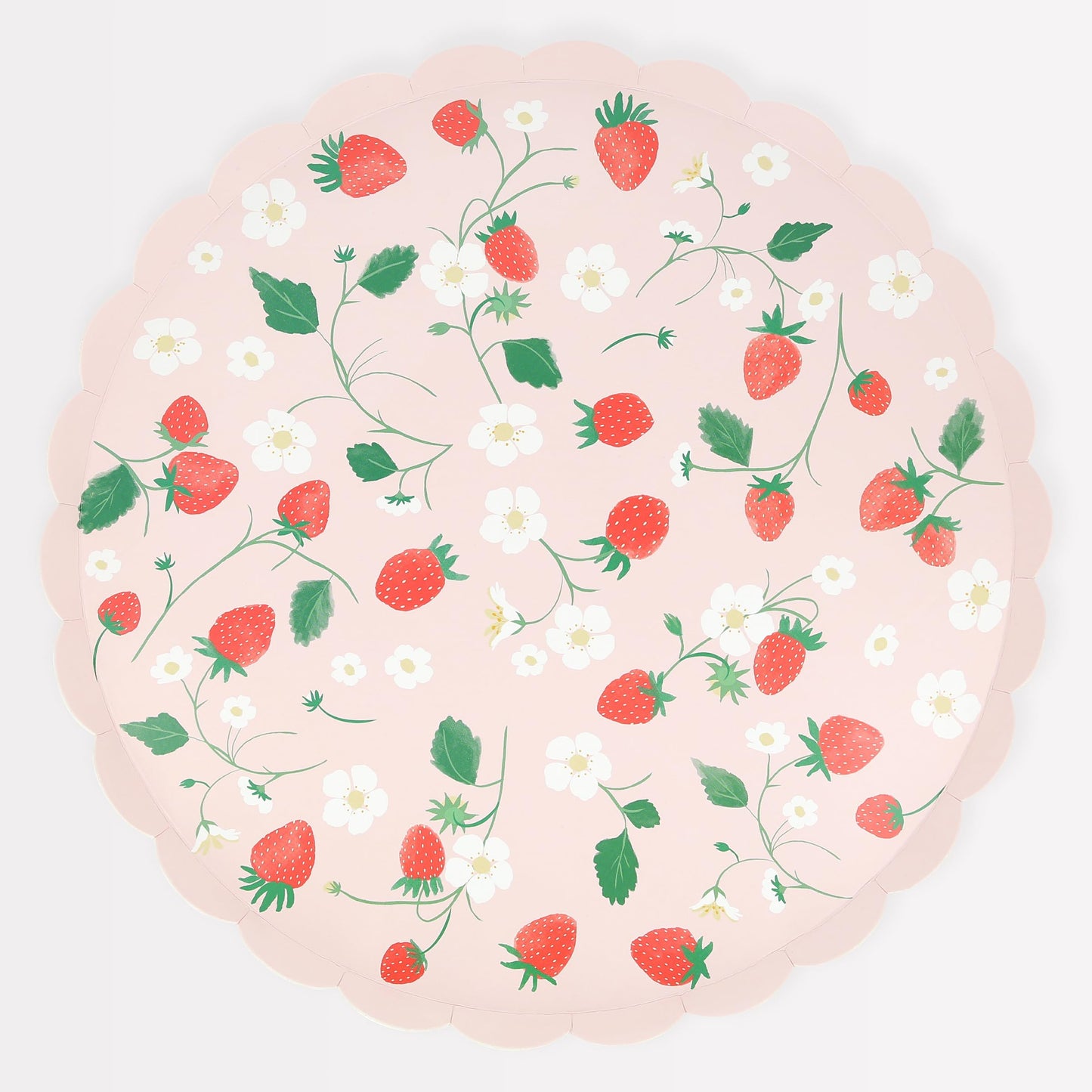Meri Meri Cute Picnic Plates (Pack of 8), Disposable Paper Plates