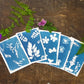Fun Express Nature Print Sun-Sensitive Paper - VBS Vacation Bible School Supplies/Decor - Educational and Learning Activities for Kids - 12 Pieces