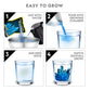 National Geographic Mega Crystal Growing Kit with 6 Crystals for Kids 8-12