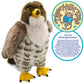 TigerHart Percival The Peregrine Falcon - 10 Inch Stuffed Animal Plush
