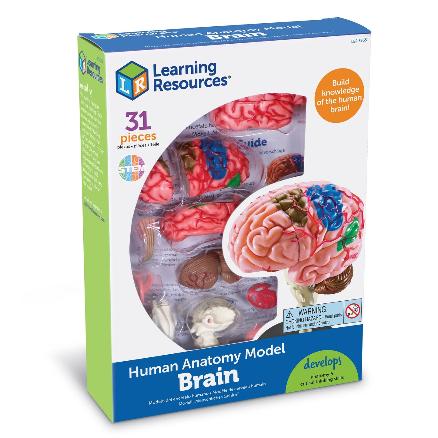 Learning Resources Brain Model - Anatomy and Science Classroom Must Haves, Neuro Health and Human Body Model, STEM Study Tools, Back to School Kits