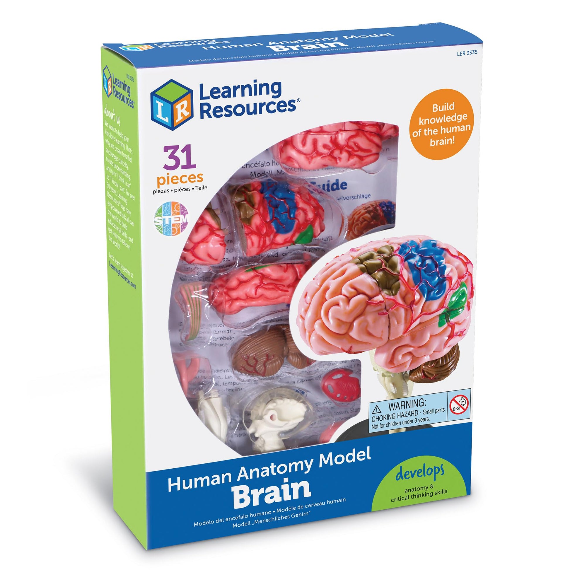 Learning Resources Brain Model - Anatomy and Science Classroom Must Haves, Neuro Health and Human Body Model, STEM Study Tools, Back to School Kits