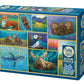 Cobble Hill 500 Piece Puzzle - Alaskan Animals - Sample Poster Included