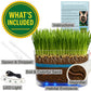 ES EVVIVA SCIENCES Worm Habitat Kit - Transparent Ecosystem Learning Container for Worm Observation and Soil Layer Studies - Composting Science