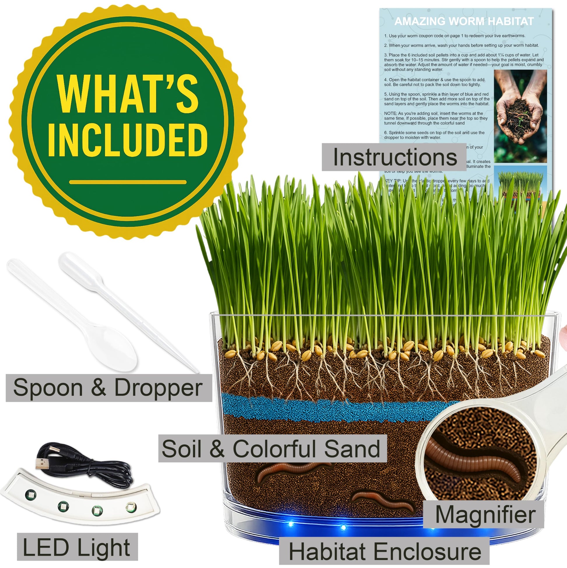 ES EVVIVA SCIENCES Worm Habitat Kit - Transparent Ecosystem Learning Container for Worm Observation and Soil Layer Studies - Composting Science