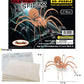 Puzzled 3D Puzzle Black Widow Spider Wood Craft Construction Model Kit, Fun & Educational DIY Wooden Toy Assemble Model Unfinished Crafting Hobby