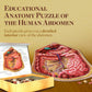 Genius Games Human Abdomen Anatomy Jigsaw Puzzle | Dr Livingston's Unique Shaped Science Puzzles, Accurate Medical Illustrations of the Body, Organs