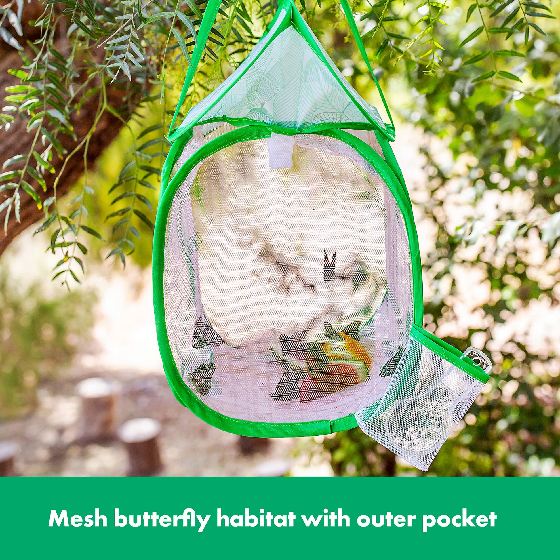 Educational Insights GeoSafari Jr. Butterfly Bungalow, Science Kit with Live Caterpillars, Home & Classroom Insect Habitat, Raise & Release Your Own
