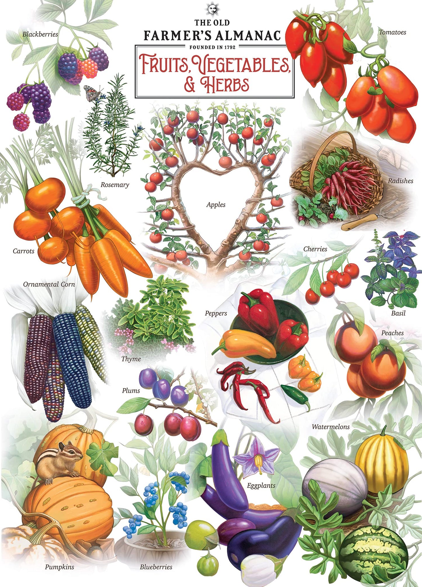 MasterPieces 1000 Piece Jigsaw Puzzle for Adults, Family, Or Youth - Farmer's Almanac; Fruits Vegetables and Berries - 19.25"x26.75"