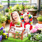 EXBEPE Kids Plant Growing Kit Greenhouse Growing Set Terrarium Kit Kids Science Educational DIY Plant Gardening Toy, Living Greenhouse with Solar