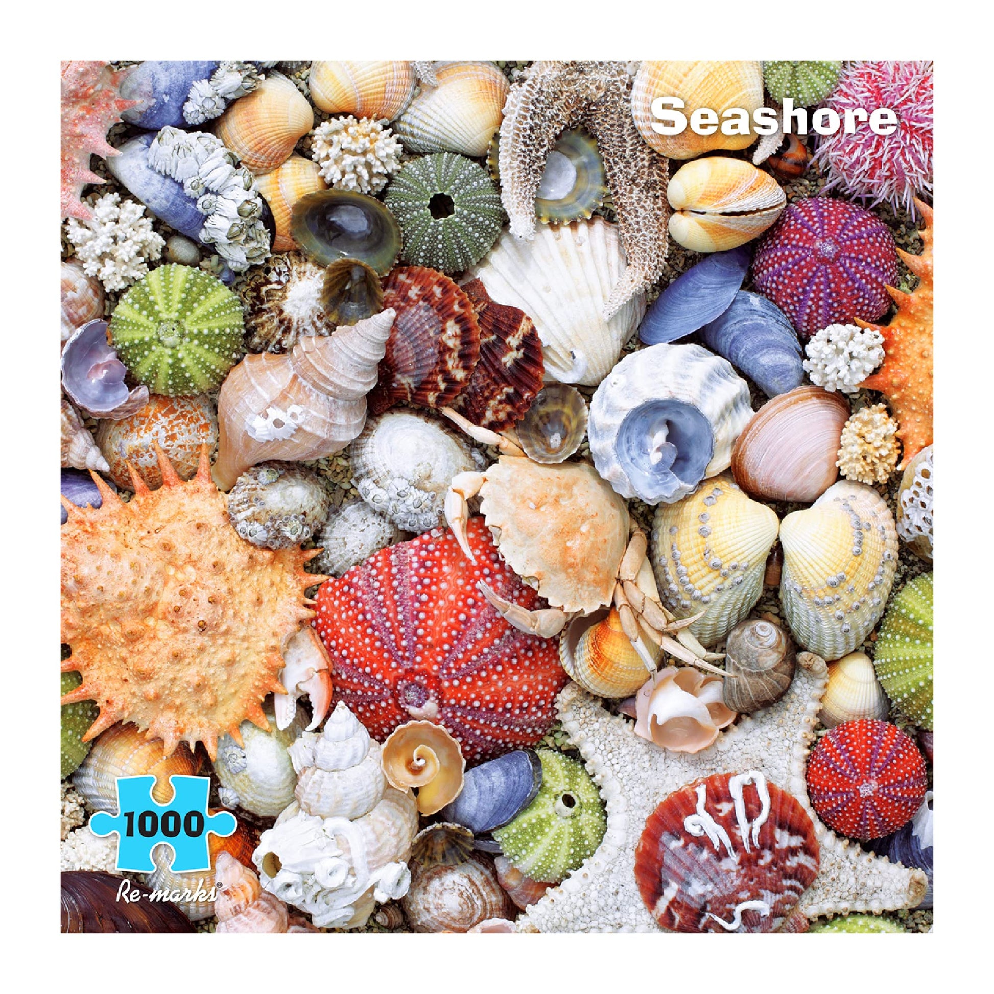 Re-marks Seashore Puzzle 1000-Piece Seashell Puzzle, Artistic Jigsaw Puzzle for All Ages - Made in USA